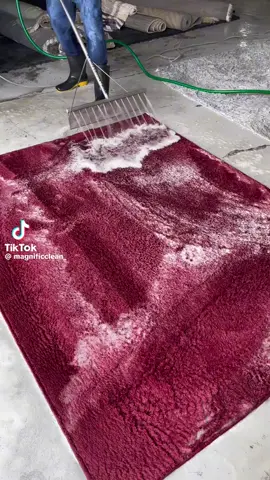 #المشاهدات 