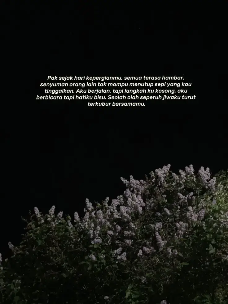 #paakurindu #sibungsu #rindubapakalfatehah #bapak 