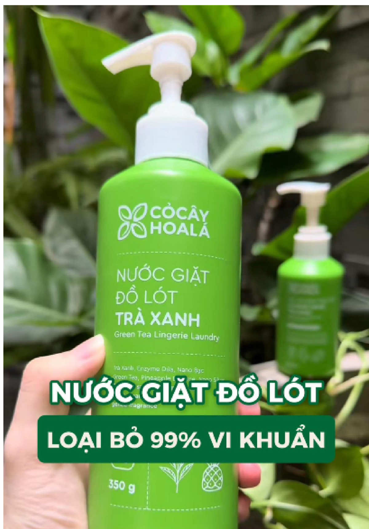 Nước giặt đồ lót khánh khuẩn, làm sạch hiệu quả #cocayhoala #nuocgiatdolot #nuocgiattraxanh 