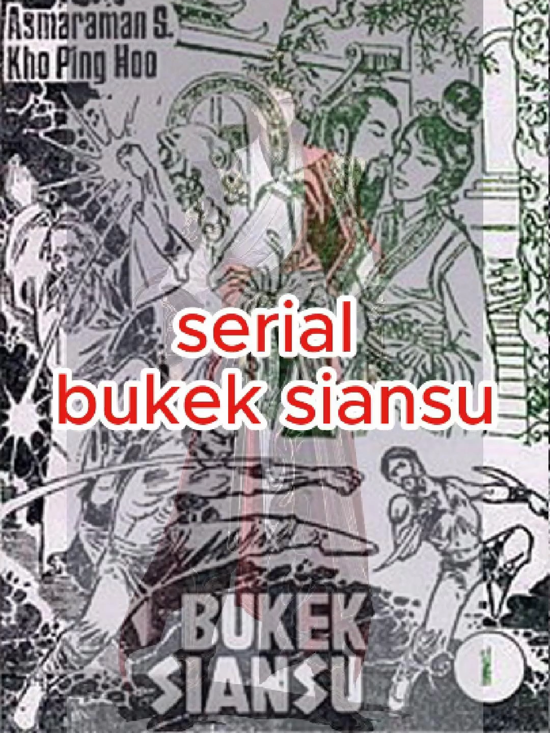 Novel Silat Klasik Serial bukek siansu Asmaranan Kho ping hoo #asmarankhopinghoo #cersilkhopinghoo