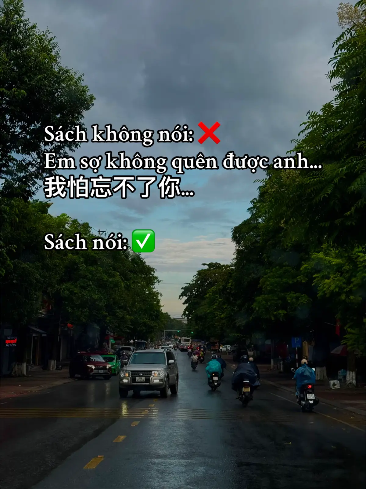 我怕刚好忘记你的时候， 你又出现了。 更怕不能忘记你， 你却再也没出现。 #中文学习 #tiengtrung #xh #viral #爱 