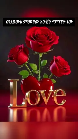 #በህይወቴ ምመኘው አንቺን በአካል ማግኘት ነው#ፍቅር➻ብቻ🖇ፍቅር➻ብቻ❤🥀🔐 