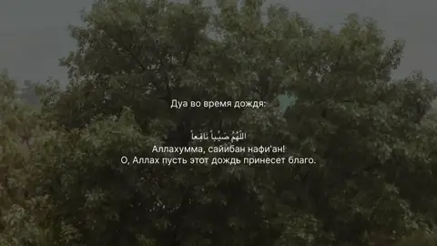 Во время дождя сунной Пророка (ﷺ)  является обращение к Аллаху с  мольбой о том, в чем человек нуждается.  Однажды Пророк (ﷺ) сказал: «В двух ситуациях Аллах непременно принимает мольбу: во время призыва к молитве (азана), и во время дождя»