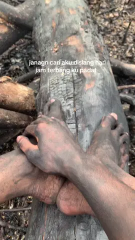 #musimtanampadidiladang menolak semua ajakan kecuali ajakan #menugalpadi🌾🌾 info jam terbang#diladang 