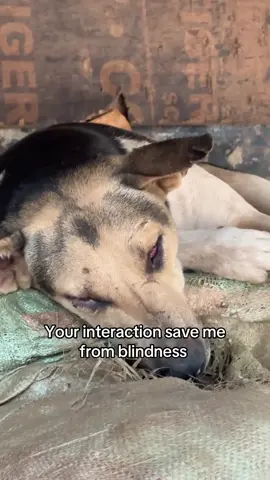 Every single donation, no matter how small, brings us closer to our goal. Whether it's $10, $20, $30, $50, $100, or $200, your contribution will make a real difference. Please, dear friends, consider donating today.