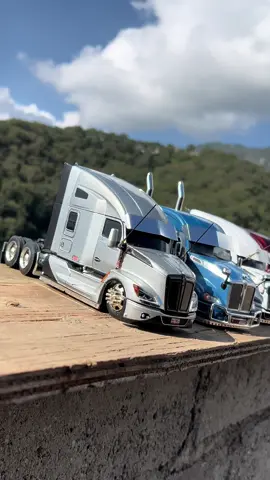 Pura belleza 🤩🤩 #trailersaescala🤠👺😎 #trailerosmexicanos🇲🇽💯 
