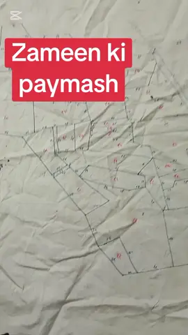 #creatorsearchinsights #tiktok #viral #foryou #videovieral 