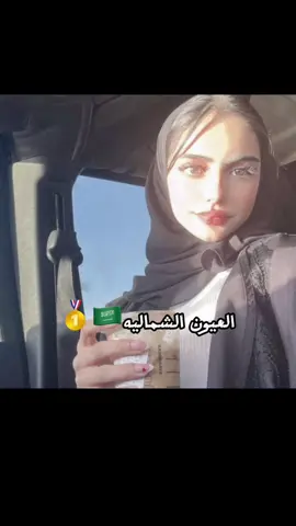 هنا الجمال وش امريكا عند شمالنا🇸🇦🤣#الشمال  #الشمال_السعودي #شماليات #لهجه_الشمال #شمالنا 