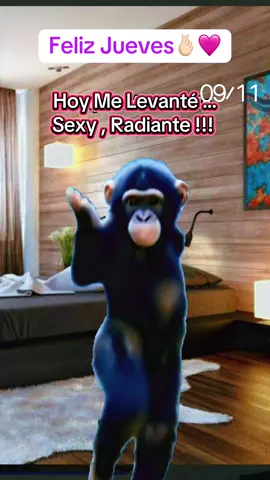 #CapCut #CapCutmeme #risas😂😂😂 #felizjuevesparatodos!!🩷#creatorsearchinsigh 