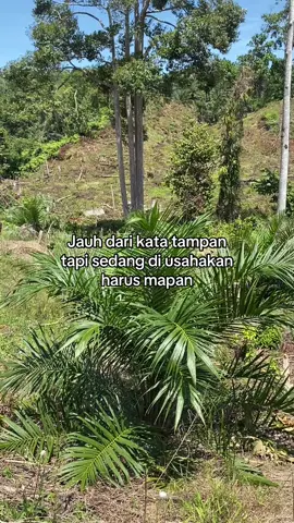 🔥#kebunsawit #fyp #katakatamotivasi #fyppppppppppppppppppppppp #asethetic 