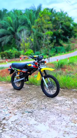 20jt ditangan laki laki #win100 