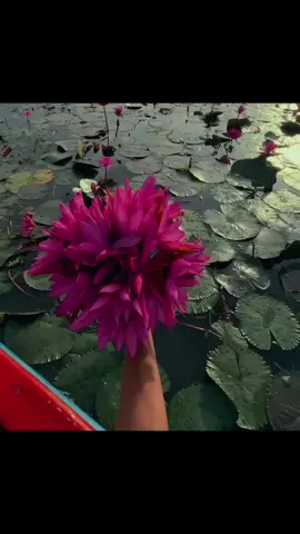 :;💐🤍😌🌸 #tamil #tamilsong #tamilspeech #MyUniverse #tamilstatus 