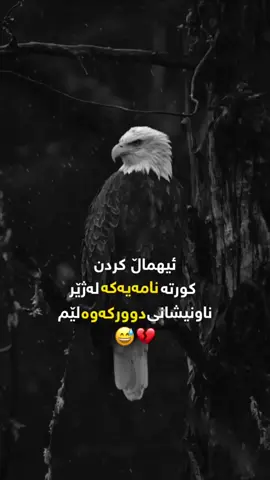 #اکسبلورررررررررررررررررررر❤🧸 #لایکۆ_فۆڵۆم_بکەن_بۆبەردەوام_بونم💙 #ئەکتیڤبن🥀🖤ـہہـ٨ــہ 