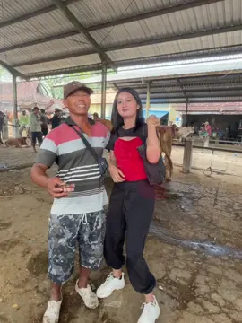 Seng Garai bakol sapi semangat  yo iki bocah e #fyp #masukberanda #peternakmuda #blantiksapi #seles 