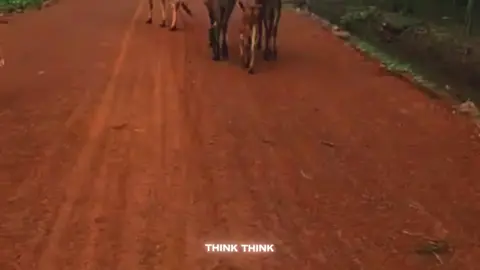 #CapCut #hashtag #tiktokxuhuong 