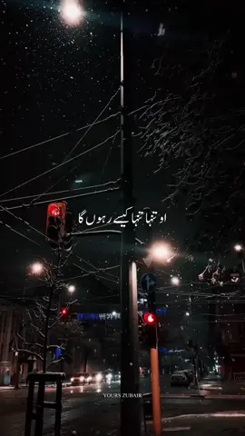 Part 44 | MARJAANA BAGHI 4…🥺❤️‍🩹🥀 . . . #baghi4 #bpraak #newsong #marjaana #trendingsong 