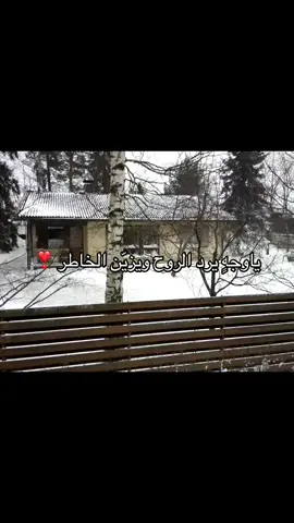 #fyp #4u #explore #like #حب 