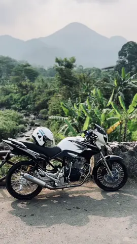 #tigerbawang #tigermadura #tigergank 