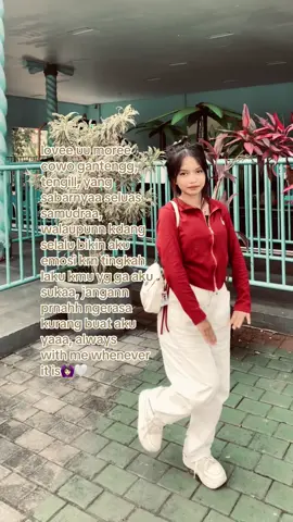 @zdn 