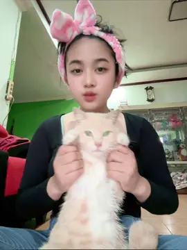 mengggg🐈#4u #fyppppppppppppppppppppppp 