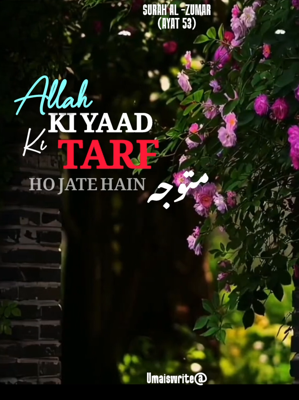 jo log apna allah sa darta ha  . . . #fyp #fypage #foryou #foryoupage #Quran 