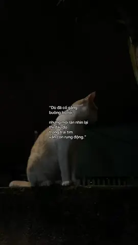 vẫn thuongg nhưng khongg dám làm phiền ngta nuaa...#donphuong #cap_tam_trang #buon #uncrush #suy 