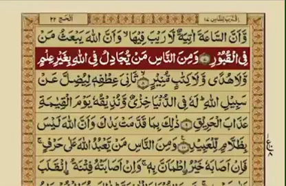 for you page viral 