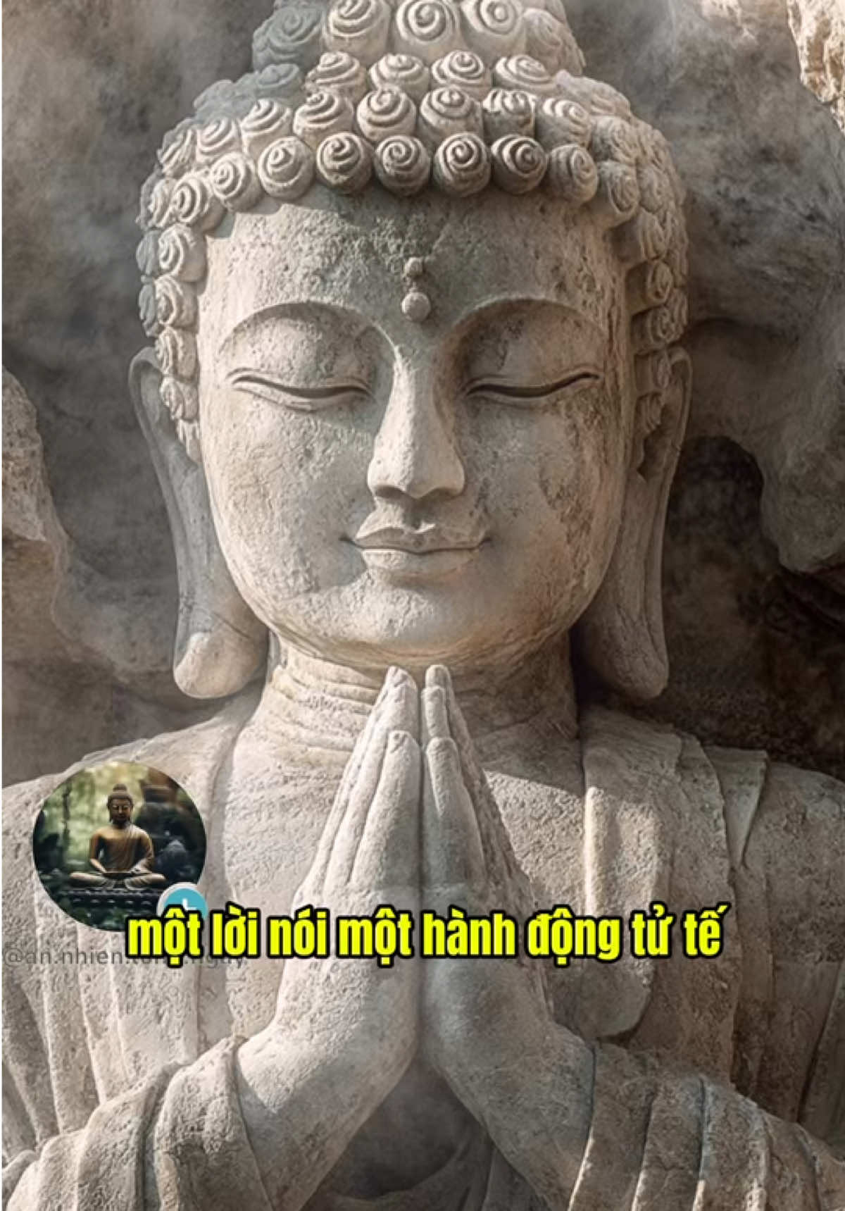 Thiền sư thích nhất hạnh có dạy , một lời nói hành động tử tế có thể thay đổi cả một ngày của người khac #phatphap #phatphapnhiemmau #annhien #loiphatday #chualanhtamhon #annhientungngay #thayminhniem 