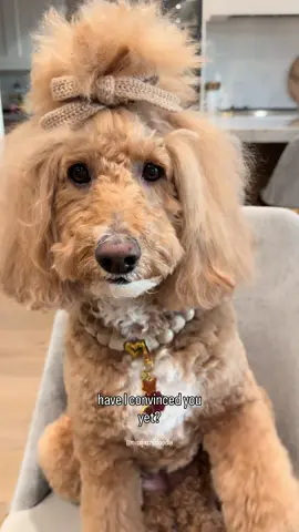 Which bob is your fave?🤭