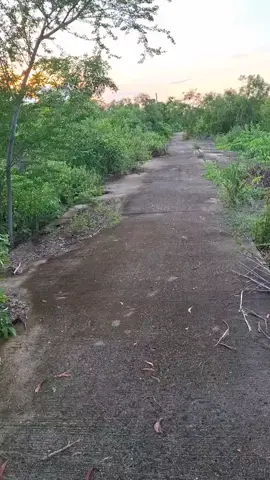 #คนงบน้อยอยากมีที่ดิน#ที่ดินผ่อนตรงราคาถูก