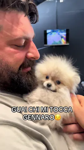 GUAI CHI MI TOCCA GENNARO😌 Scuolapercani Milano: ⁨345 341 8428⁩ 📔 IL LIBRO DI TOMMASO “Avrai carezze per parlare con i cani“ è ora disponibile su Amazon al link: https://amzn.eu/d/9mGwGKh