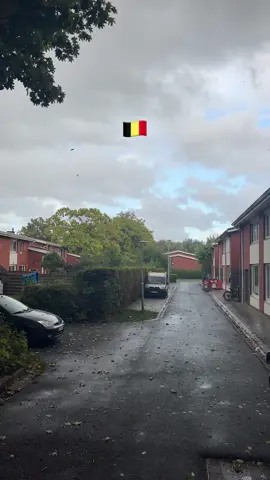 اعاده نشر 🩵👍🏾#بلجيكا🇧🇪_بروكسيل_المانيا_فرنسا_هولندا #مهاجرين #الهجره #f #fyp 