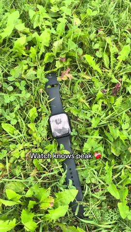 #fy #trigger #zzz #zenlesszonezero 