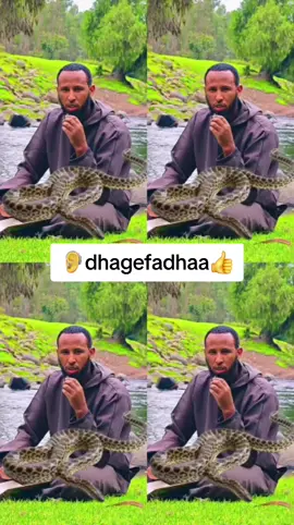 #oromotiktok❤️💚❤️oromiy❤🖤🤍 #oromotiktok❤️💚❤️ethiopiantiktok #ethiopian_tik_tok🇪🇹🇪🇹🇪🇹🇪🇹 