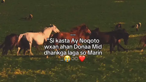 😭❤️ ...... ##foryou ##viwes ##viral ##fyp ##foryoupage 