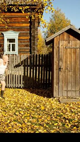 #дед #юмор_видео #медведь 