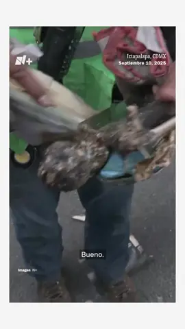 #pipa #iztapalapa #incendio #luto #mexicodeluto 🔴LISTA DE LESIONADOS Clínica Hospital Emiliano Zapata 1. Jaime Berra Urieta – 49 años – SCQ 50% 2. Esteban Rivera Flores – 23 años – SCQ 35% 3. Fredy Sánchez Gil – Edad desconocida – SCQ 50% 4. Jesús Noé Tovar García – Edad desconocida – SCQ 90% 5. Kevin Díaz Monte de Ocampo – Edad desconocida – SCQ 80% 6. Eduardo Noé Morales – Edad desconocida – SCQ 100% 7. Juan Carlos Sánchez Blas – Edad desconocida – SCQ 100% 8. Osvaldo Gutiérrez Espinosa – 28 años – SCQ 40% 9. Óscar García Rivera – Edad desconocida – SCQ 40% 🟢Hospital General Morelos y Pavón 1. Carlos Amaury Martínez Galicia – 32 años 2. Reséndiz Ana Belén Esparza – 24 años 3. Valentina Mora Luna – Edad desconocida 4. Jonny Flores Lara – 19 años 5. Jonathan Ruiz Dailton Esparza – 30 años 6. Elizabeth Mora – 54 años 7. Bertha Marbian Vázquez – 34 años 8. Yaquelin Contreras Salinas – 29 años 9. Carlos Iván Jiménez Arturo de Jesús – 47 años 10. Brenda Ruiz Medina – 27 años Hospital General de Zona No. 53 (HGZ 53) 🟤1. Ángel Tonatiuh Gómez Galván 2. Jorge Islas Flores 3. Eduardo Ramírez Álamos 4. Giovana – Menor de aprox. 12 años 5. Omar Alejandro García Escorza 6. Fernanda Soto Munguía 7. Javier Velasco Ángel 8. Juan Antonio Hernández Betancourt 9. Abril Díaz Castañeda 10. Aarón Gustavo Hernández López 11. Alicia Mateos Teodora 12. Bebé de aproximadamente 6 meses 13. Erick Mateo Terán Hernández 14. César Aldair Cortés Hernández 15. Natanael David Brindis Murillo 16. Alejandro García España 17. Antonio Hernández Gilberto Aarón 18. Leonel Alejandro Velázquez Rodríguez 19. Eduardo Ramírez Armas 20. Giovana Martínez