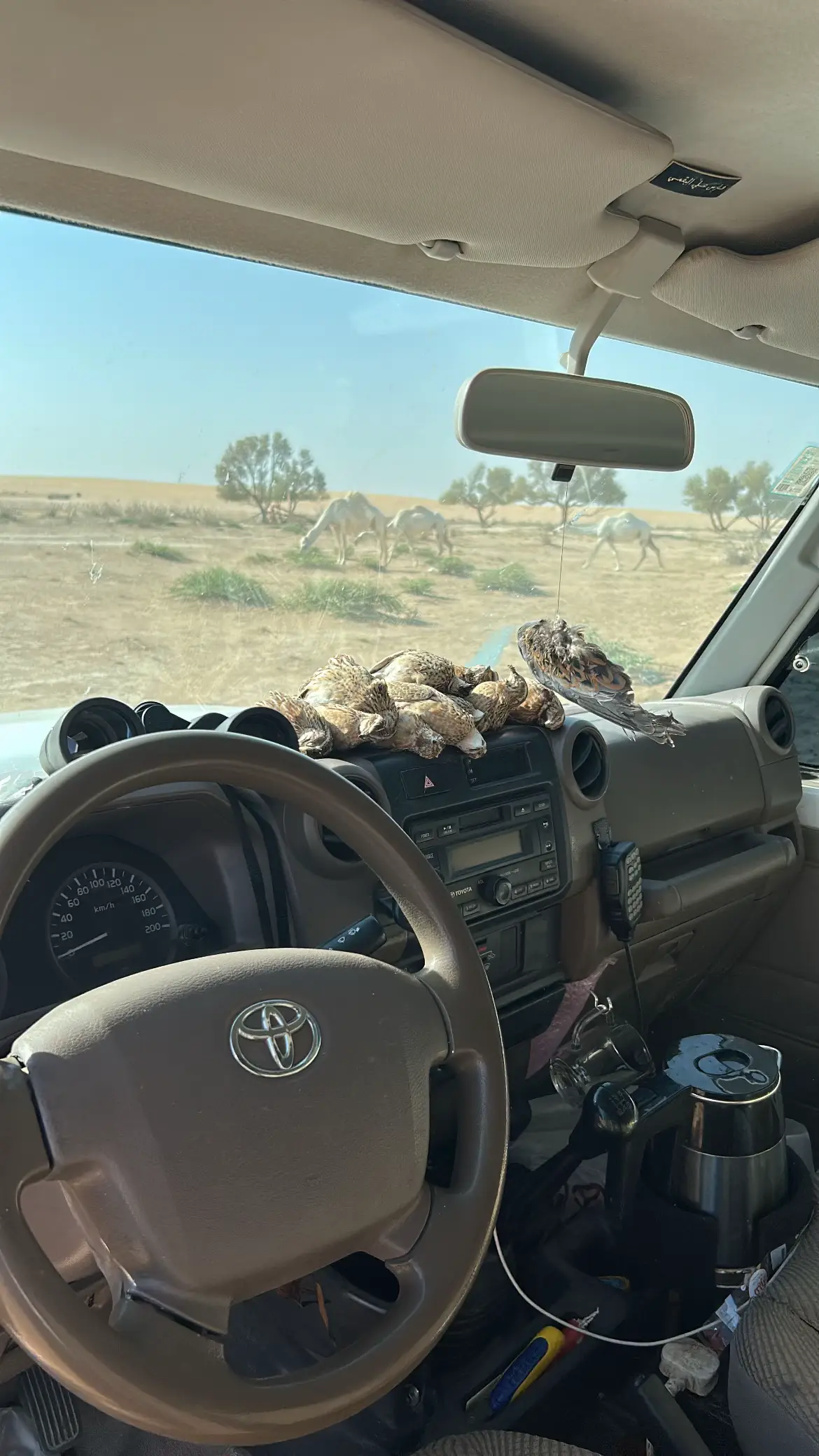 #عام١٤👨🏻‍🦯.