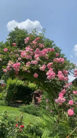 #beautifulviews💯❣️❣️ #foryoupage #foryou #fybシviral #pakistan 