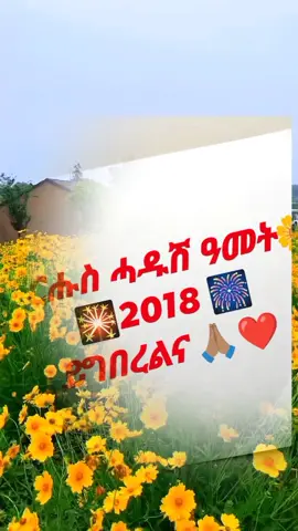 #CapCut #ተመስገንፈጣሪ🌼🌼🌼🌼🌼🌼🌿🌿