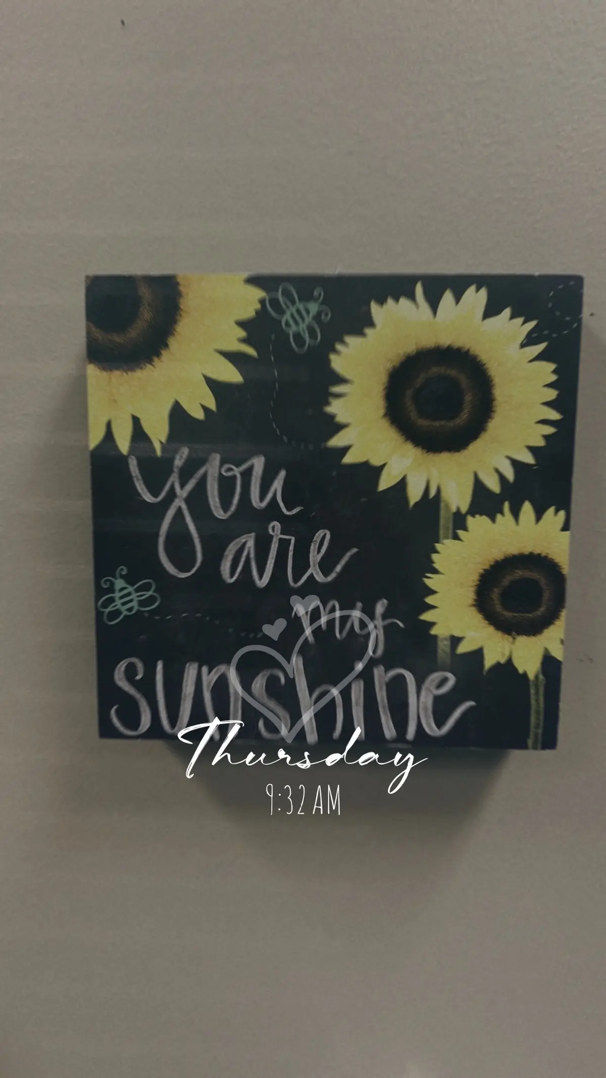 Thursday Photo Dump 🌻😊