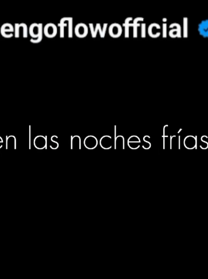 en las noches frías || Ñengo flow  #lyric #2009 #paraestadodewhatsApp #letras #fyp @Ñengo Flow 