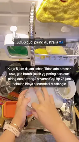 Kerja 8 jam dalam sehari Tidak ada batasan usia gak butuh ijazah yg pnting bisa cuci piring dan potong2 sayuran Gaji Rp 75 juta sebulan Biaya akomodasi di talangin #lowongankerja #lokerterbaru #cucipiring #4upage #4u 