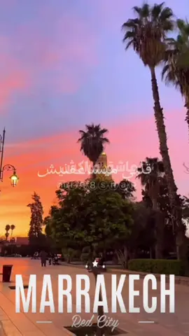 #مراكش #marrakech #المغرب🇲🇦 #morroco🇲🇦 #المغرب🇲🇦تونس🇹🇳الجزائر🇩🇿 @رشيد الطربي @TAJINE CASABLANCA @asmakamil @قروب عاشق مراكش @لؤلؤة المغرب🇰🇼🇲🇦 @الاصالة المغربية @مطعم الشيف المغربي 🇰🇼🍽🇲🇦 