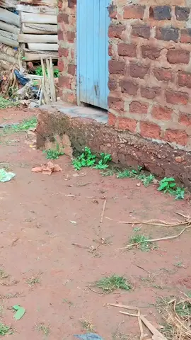 Wait the vibe for today