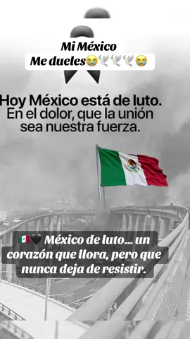 🇲🇽🖤 México de luto… un corazón que llora, pero que nunca deja de resistir. Hoy México de luto se viste de silencio y dolor, pero en cada lágrima late también la fuerza de un pueblo que jamás se rinde. #mexicodeluto💔🇲🇽🥺❤️ #🕊️🖤😔😫😕🤍🥺🥀 #🖤💔🥀 #queenn147🌷💛 #🕊️🕊️🕊️🕊️🕊️🕊️🕊️🥀🥀🥀🥀🍂🍂 