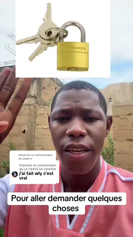 Réponse à @LA FIERTÉ DU DOGON 