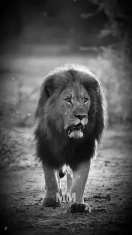 Always Remember....  #usa_tiktok #motivationalvideos #dailymotivation #motivationmindset #lifelesson 