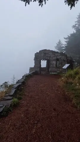 Hey. You’re okay. 🫂💙 #MentalHealth #healing #Hiking #oregoncoast #fog 