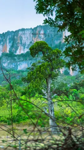 Aduunka xagee ugu jeceshahay inaad mar uunku Dalxiisto📍🌴 #soomalitiktok #virelvideo #traveltiktok #maakhir🇧🇸 #puntlander🇸🇱 @Ahmad Qurkavic @Cawaale Koronto 🇸🇴 